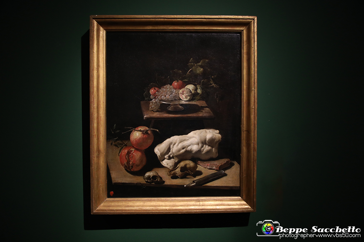 VBS_7742 - La canestra di Caravaggio.jpg